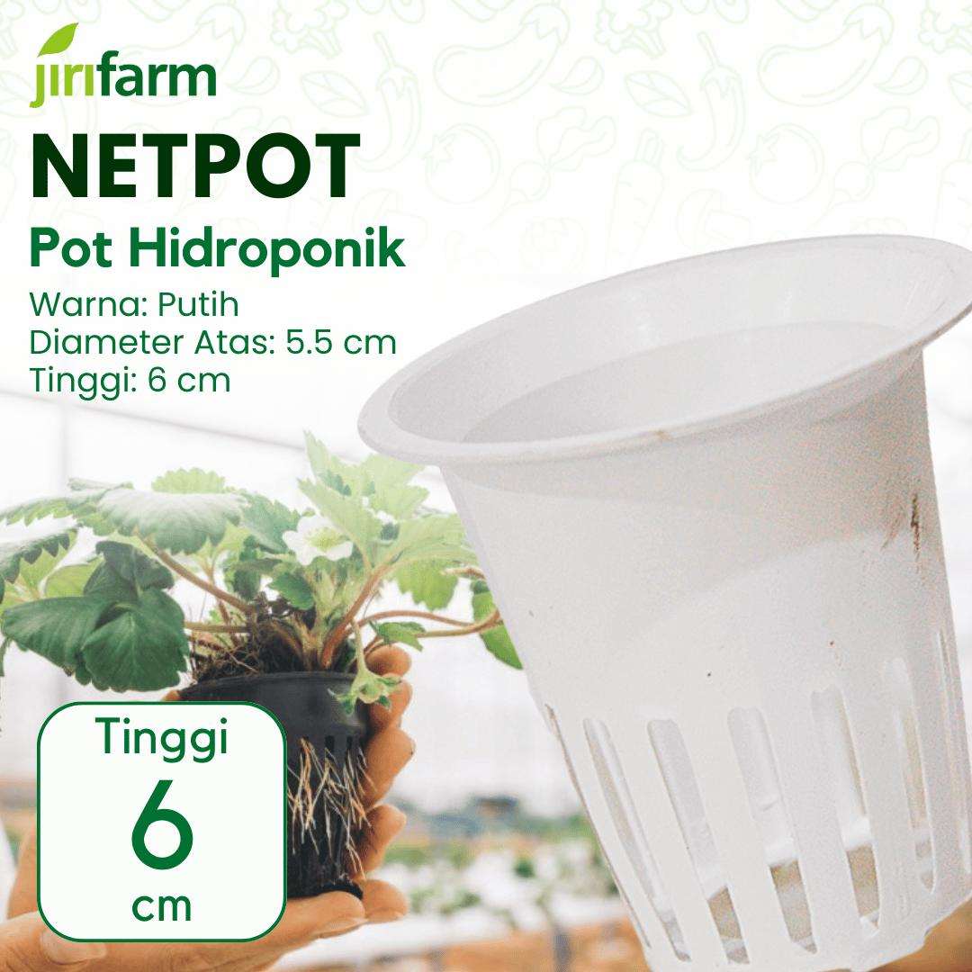 vimg