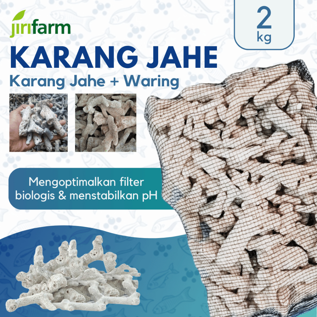 JIRIFARM - Karang Jahe Media Filter Kolam Ikan Koi Akuarium Isi Varian 2 , 3 , 5  Kg plus Waring