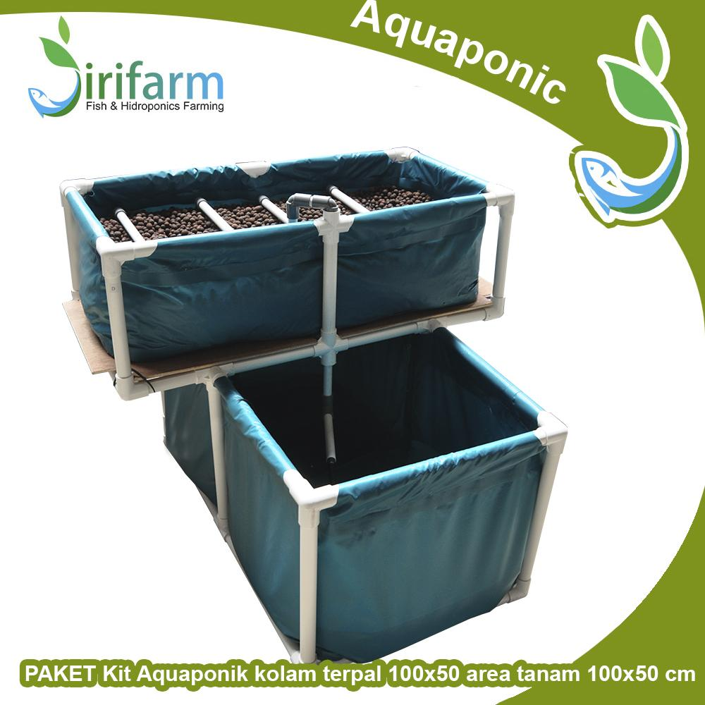 KIT Akuaponik SIMPLE 1 KOLAM TERPAL 100x60x30 Area Tanam 100x50 cm