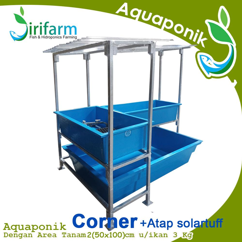 Jirifarm Paket Akuaponik L Dengan Atap 100 Titik Tanam
