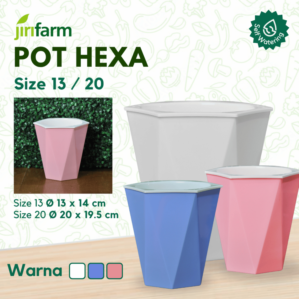 JIRIFARM - Pot Bunga Pastel Hexagon Size 13 20 - Tanaman Hias Otomatis Self Watering Pot Unik