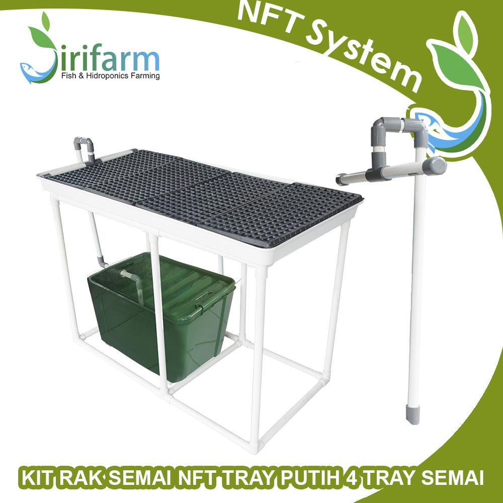 Paket kit RAK SEMAI NFT TRAY PUTIH 4 TRAY SEMAI 800 Lubang tanam