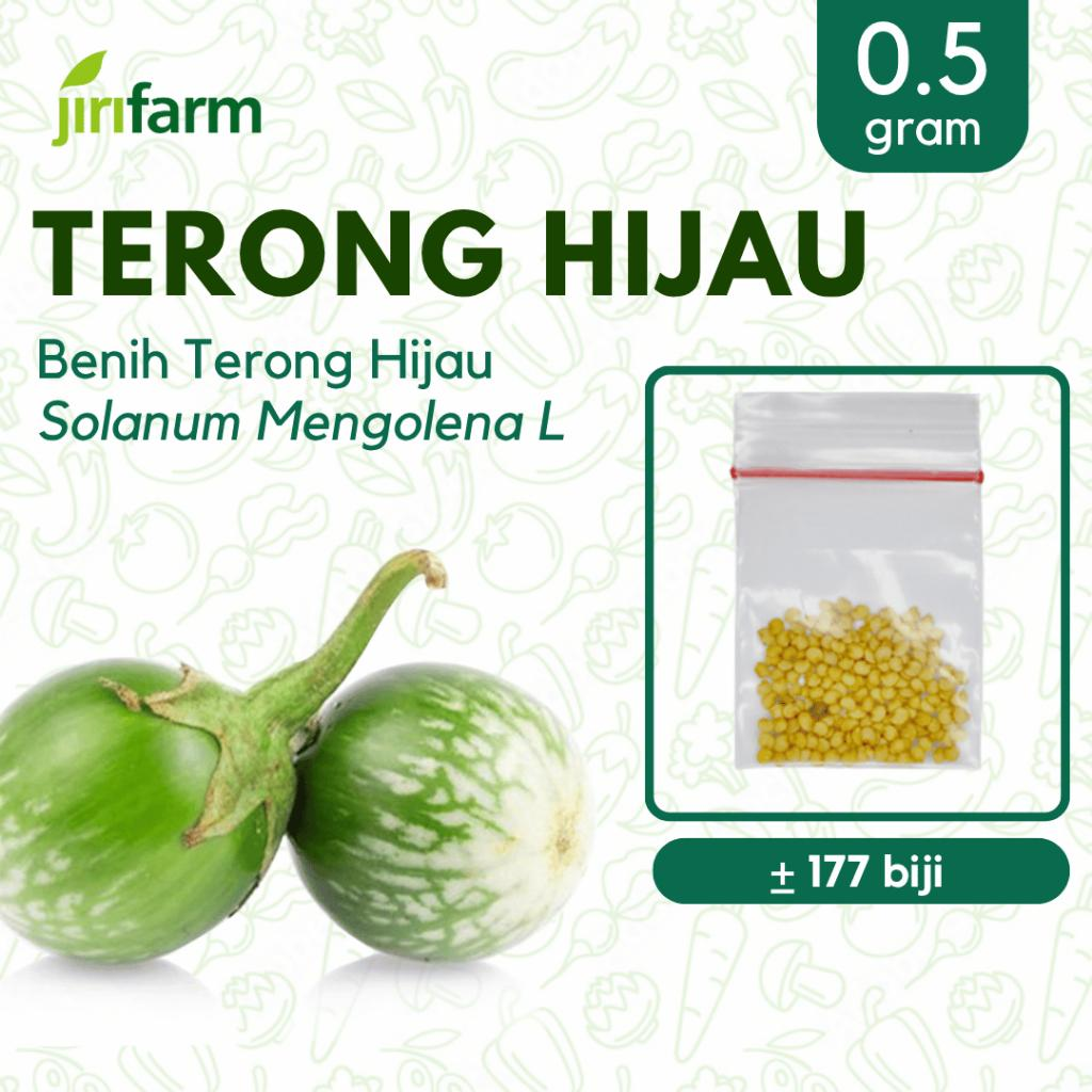 JIRIFARM - Benih Bibit Terong Lalap Tanaman Sayuran Buah Seribuan Unggul