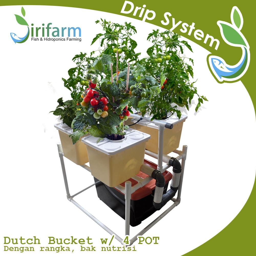 Jirifarm Hidroponik Sistem Dutch Bucket 4 Pot Diameter 10 cm