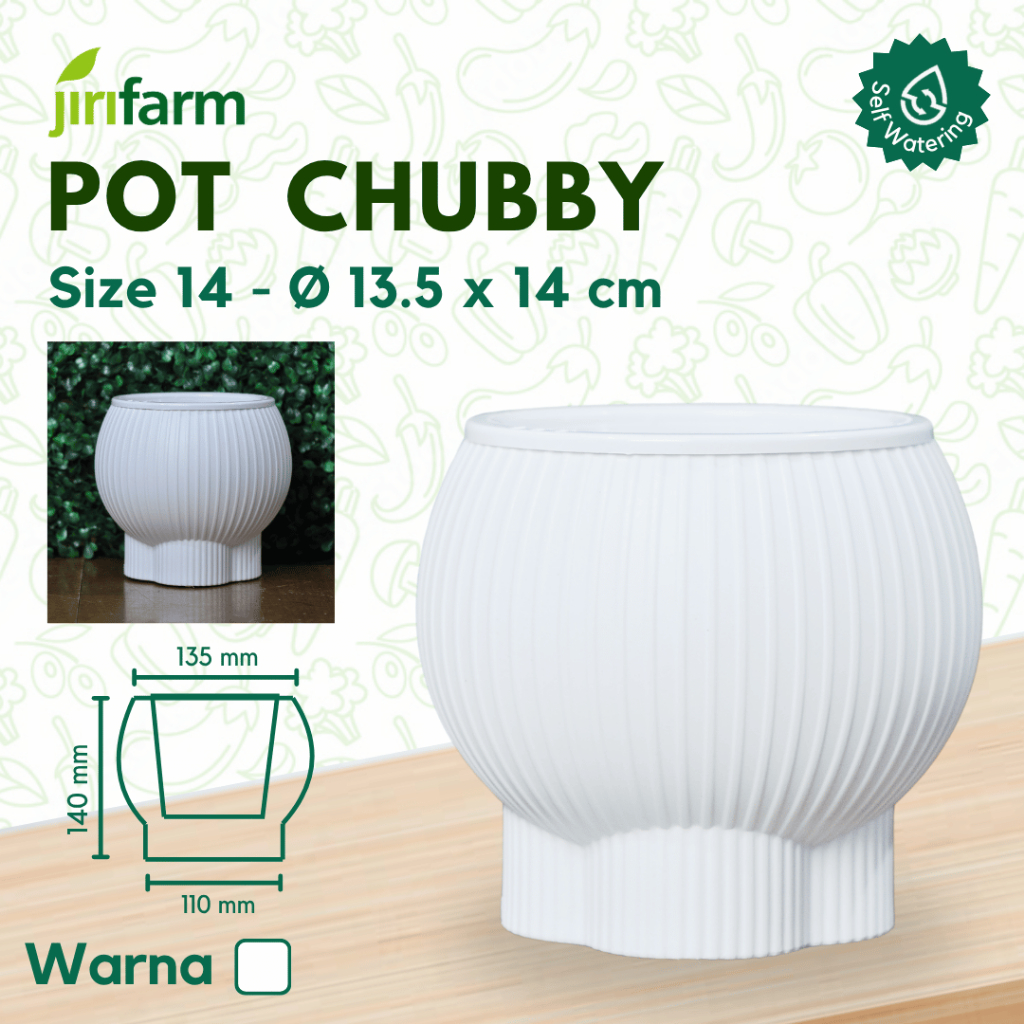 JIRIFARM - Pot Bunga Chubby Size 14 Diameter 13 - Tanaman Hias Otomatis Self Watering Pot Unik