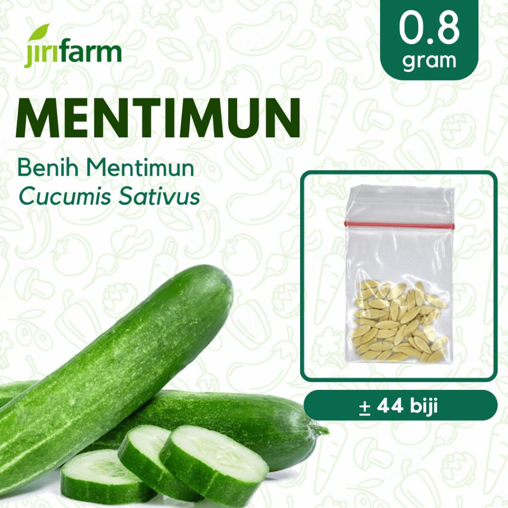 JIRIFARM - Benih Bibit Timun Tanaman Sayuran Buah Seribuan Lalap Unggul