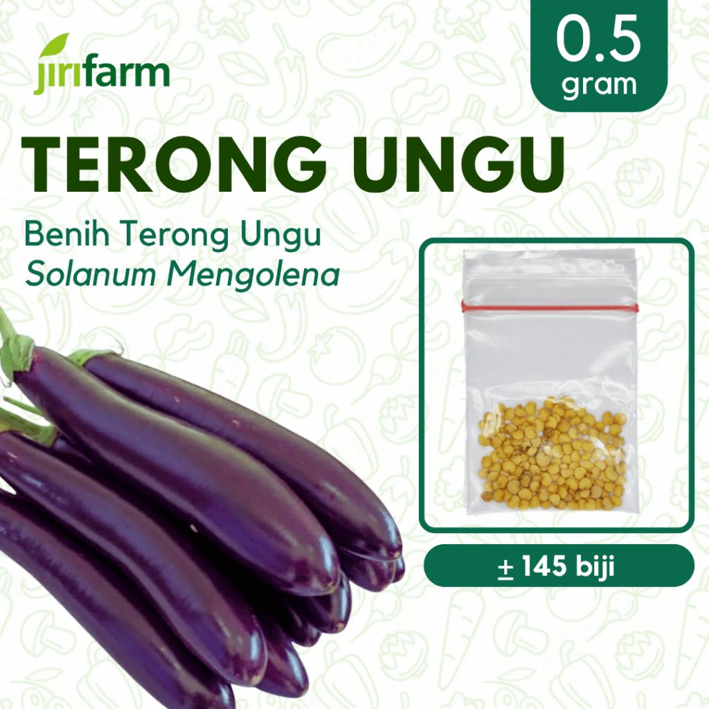 JIRIFARM - Benih Bibit Terong Ungu Tanaman Sayuran Buah Seribuan Unggul