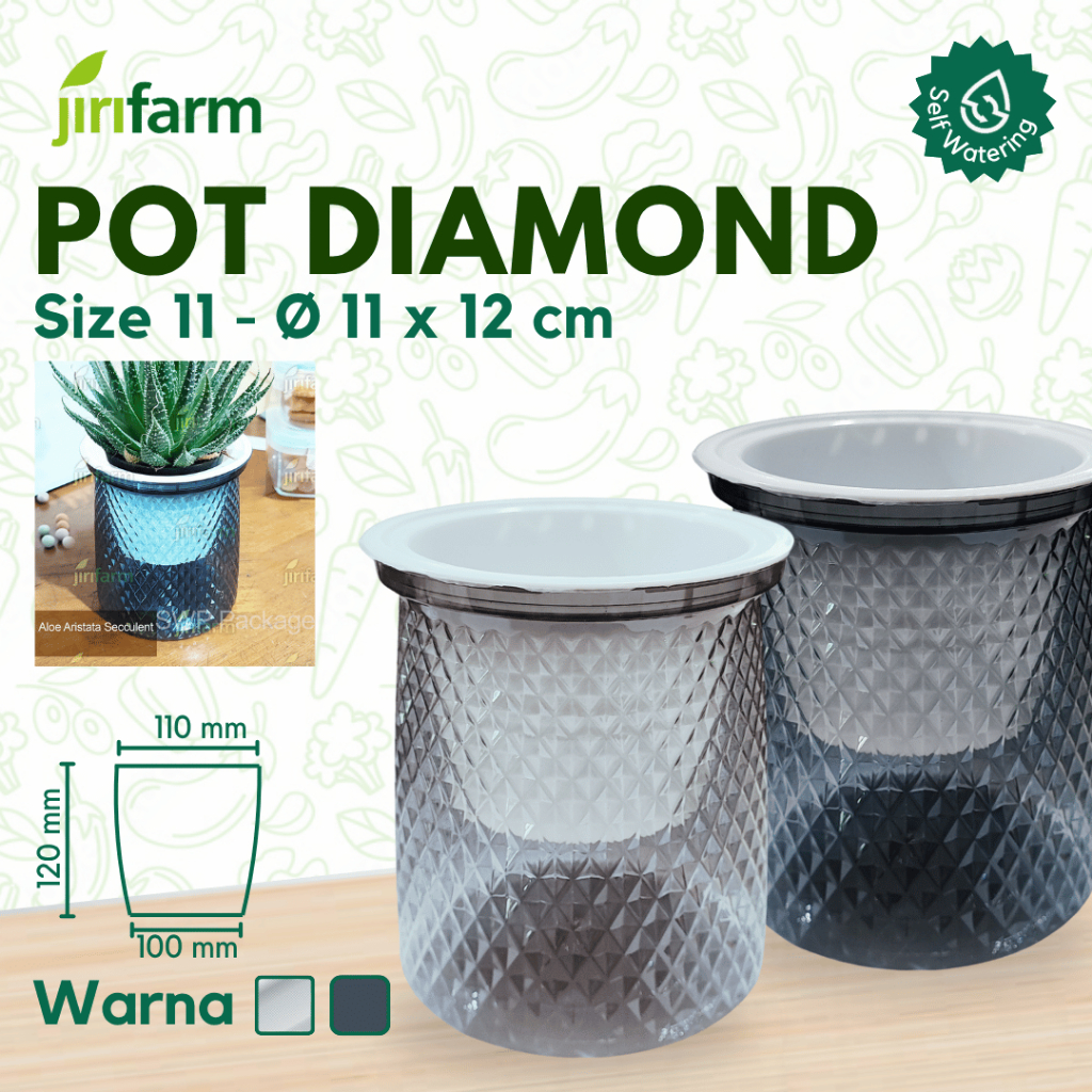 JIRIFARM - Pot Bunga Diamond Transparan Diameter 11 - Tanaman Hias Otomatis Self Watering Pot Unik