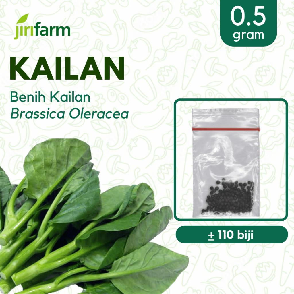 JIRIFARM - Benih Bibit Kailan Tanaman Sayuran Seribuan Unggul