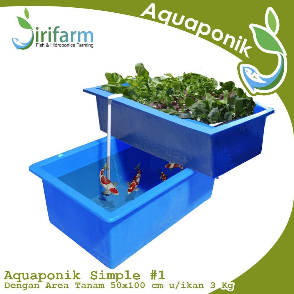 Jirifarm Paket Akuaponik Simpel#1 Include Bibit Ikan Nila dan Sayur