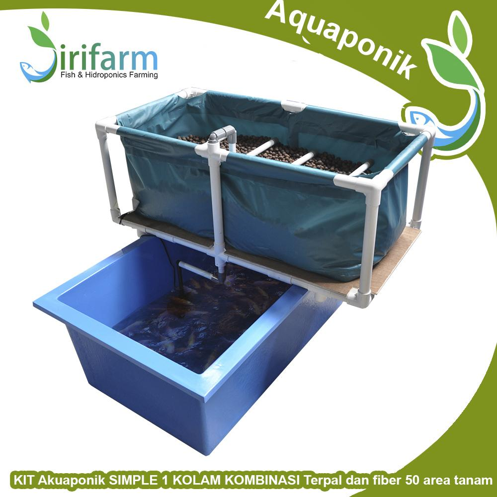 KIT Akuaponik SIMPLE 1 KOLAM Kombinasi 100x60x30 Area Tanam 100x50 cm