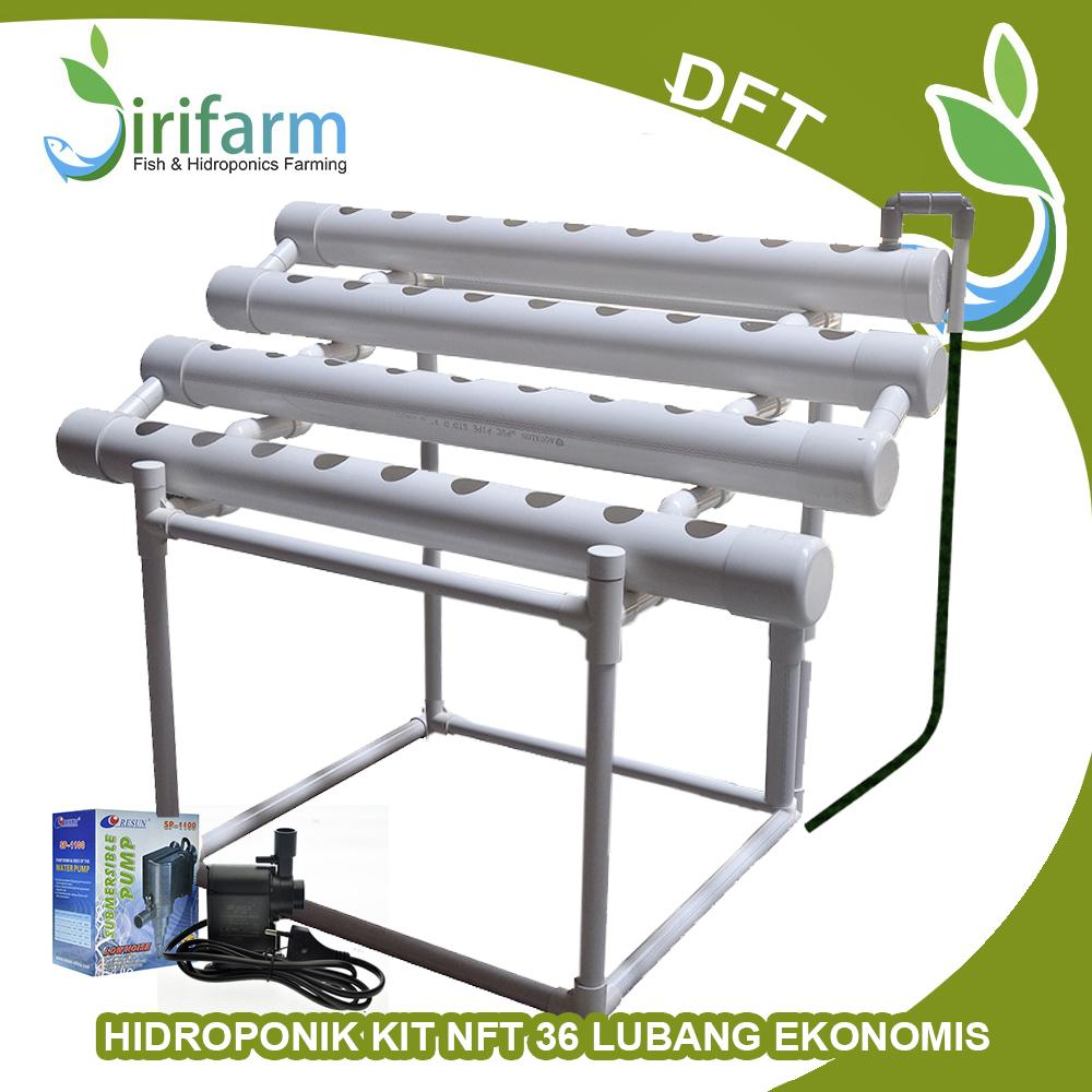 READY! Jirifarm Paket Hidroponik DFT 1M 36 LT Paralon Model L Ekonomis