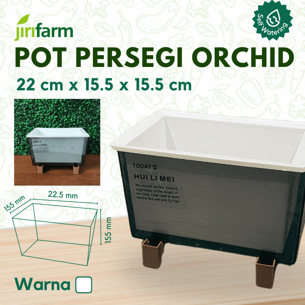 JIRIFARM - Pot Bunga Orchid Size 22cm - Tanaman Hias Otomatis Self Watering Pot Unik
