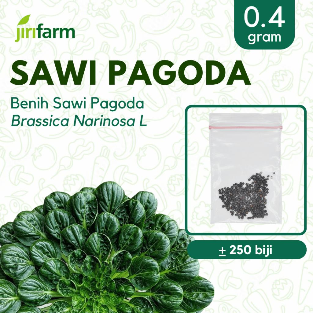 JIRIFARM - Benih Bibit Sawi Pagoda Tanaman Sayuran Seribuan Unggul