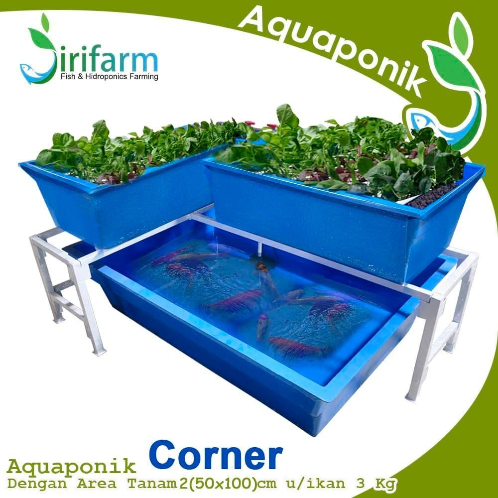 Jirifarm Paket Akuaponik L Untuk Sudut Ruangan 100 Titik Tanam