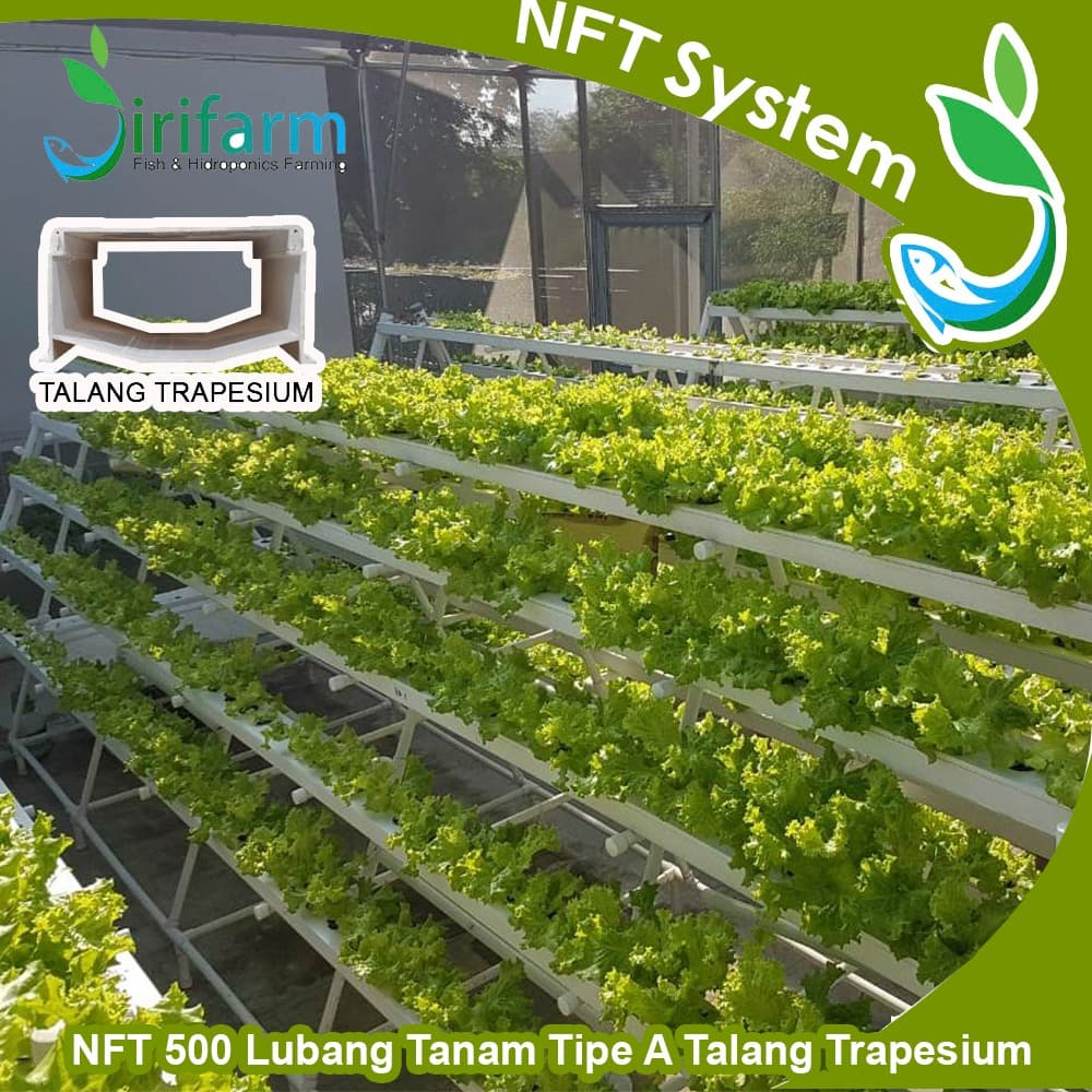 NFT MODEL A 500 LT 5mtr Talang Import Foodgrade Jirifarm Hidroponik