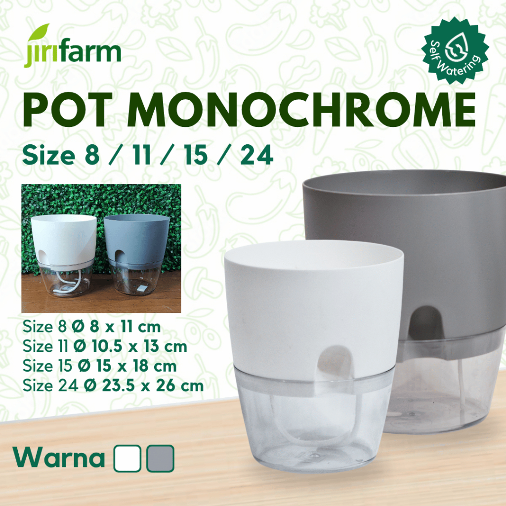 JIRIFARM - Pot Bunga Transparan Diameter 8 11 15 24 - Tanaman Hias Otomatis Self Watering Pot Unik