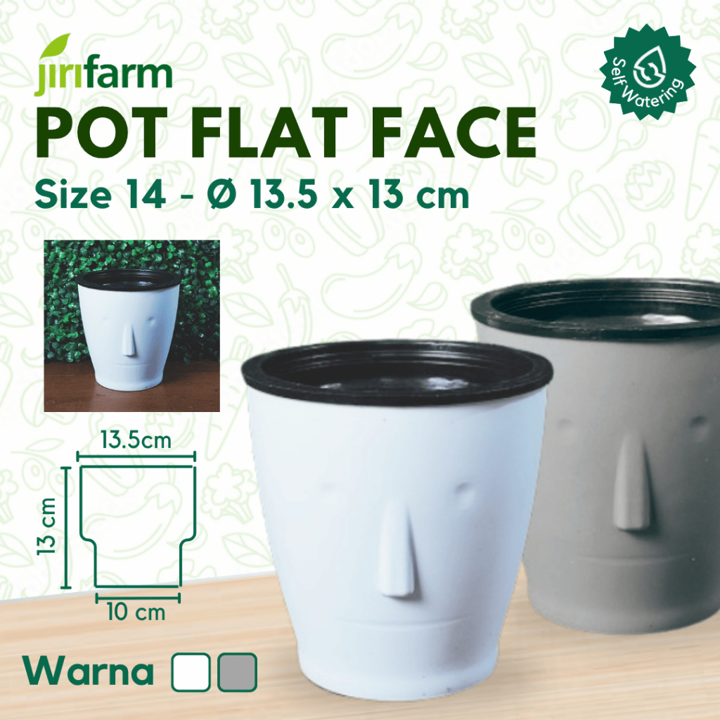 JIRIFARM - Hidroponik Pot Murah / Pot Unik / Pot Hias Self Watering Pot Flat Face, Size : Dia. 13.5 cm x 13 cm smart plant