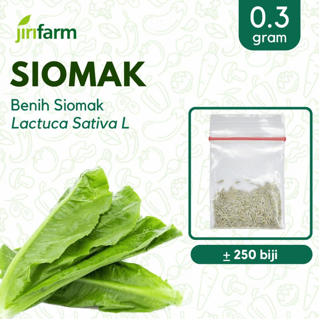 JIRIFARM - Benih Bibit Siomak Tanaman Sayuran Seribuan Unggul
