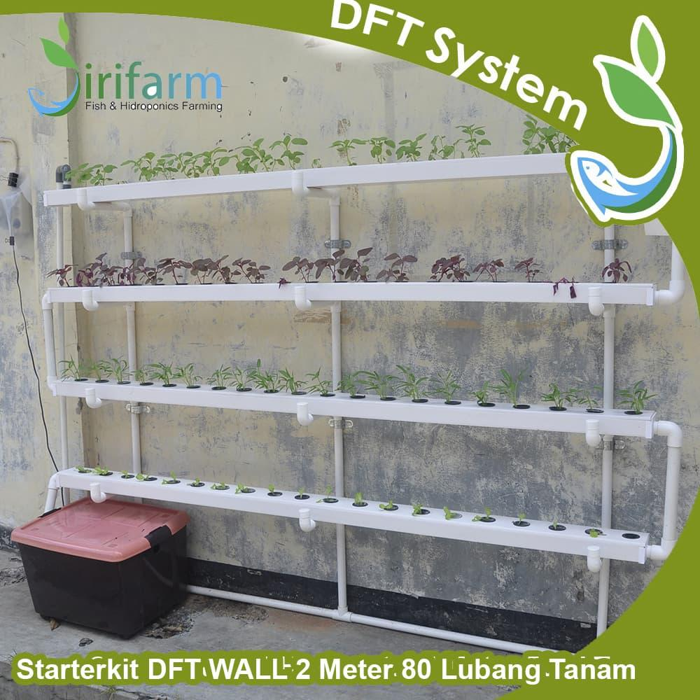Jirifarm Paket Tanam Dinding Hidroponik DFT WALL 2 meter 80 Lubang