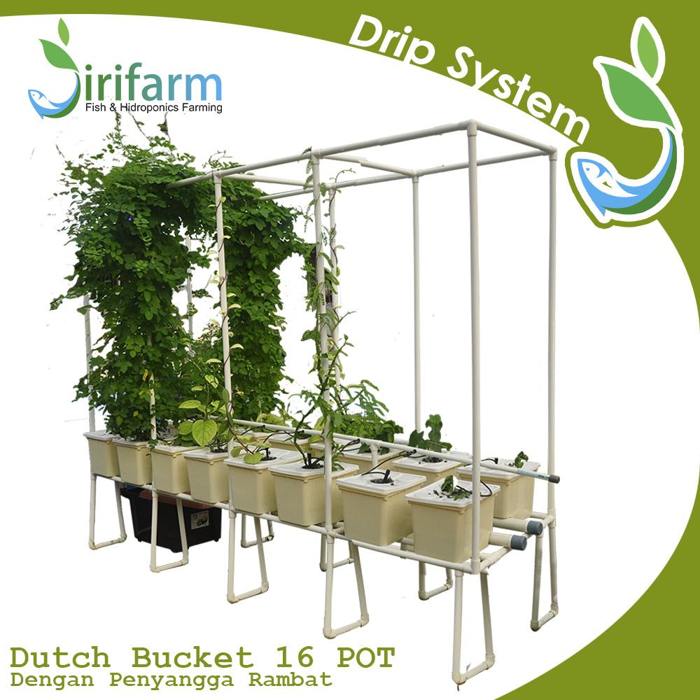 Jirifarm Hidroponik Dutch Bucket 16 Pot Diameter 10 cm w/ Fitting Atas